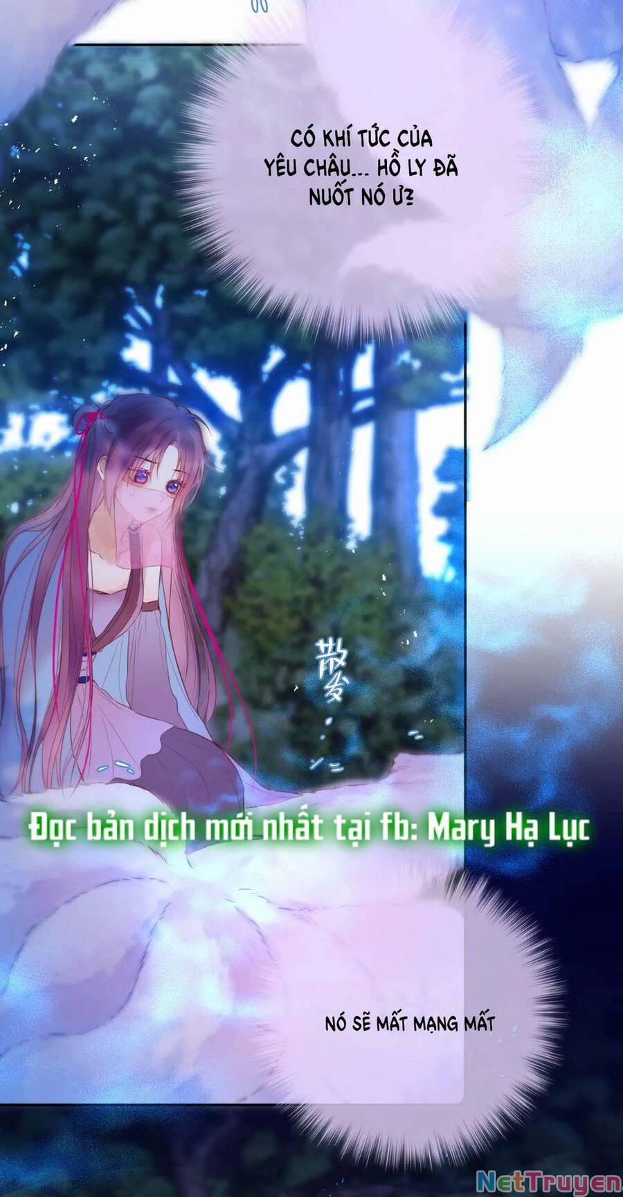 Cạm Bẫy Của Hồ Ly 49 trang 22