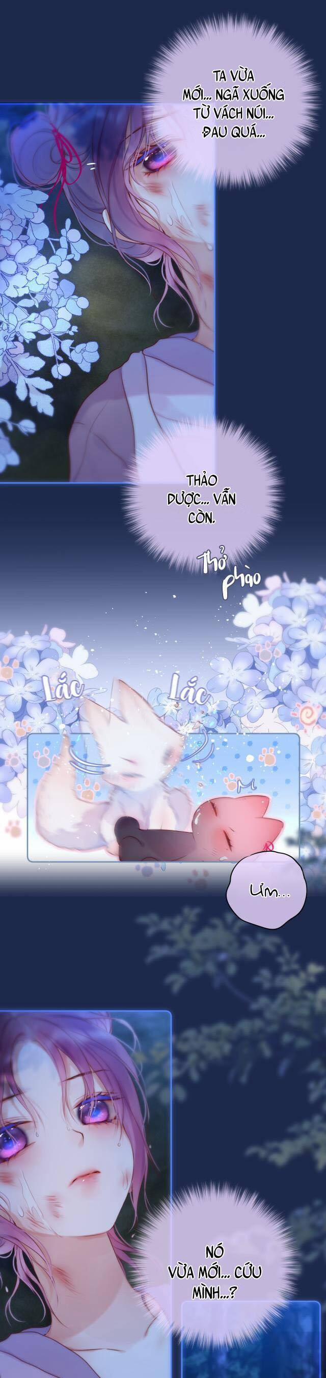 Cạm Bẫy Của Hồ Ly 50 trang 11