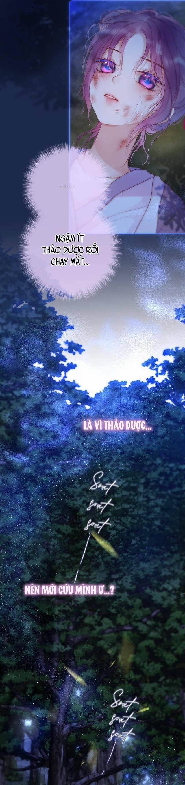 Cạm Bẫy Của Hồ Ly 50 trang 13