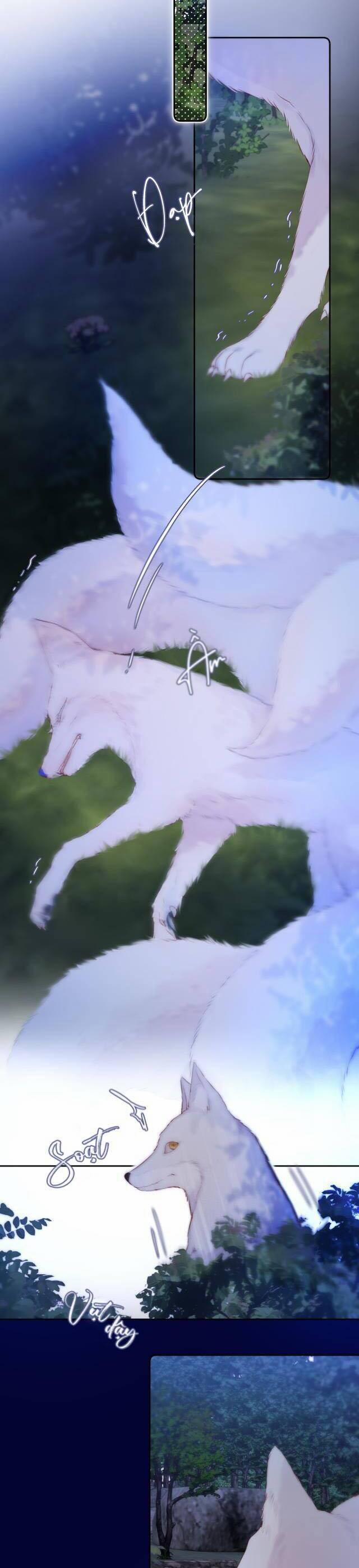 Cạm Bẫy Của Hồ Ly 50 trang 2