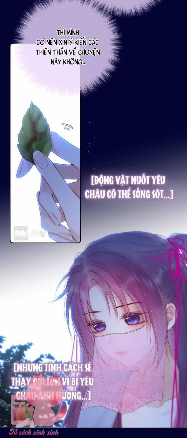 Cạm Bẫy Của Hồ Ly 51 trang 4