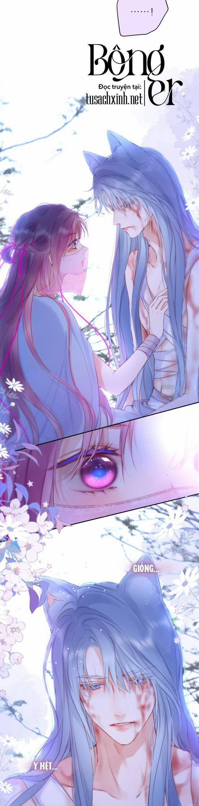 Cạm Bẫy Của Hồ Ly 52 trang 11