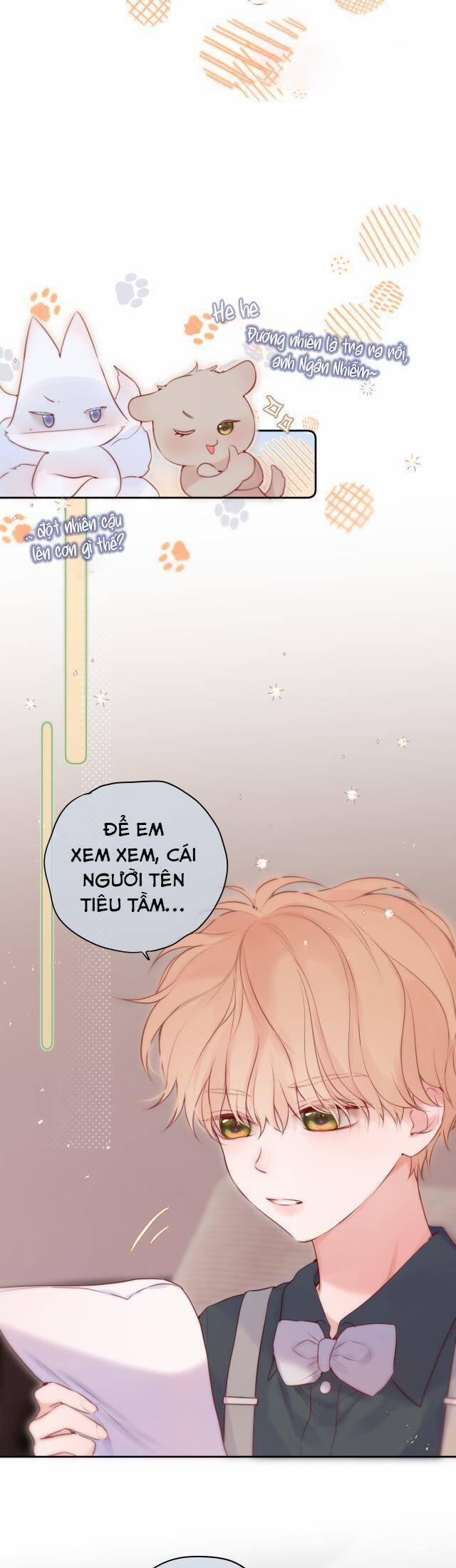 Cạm Bẫy Của Hồ Ly 56 trang 4