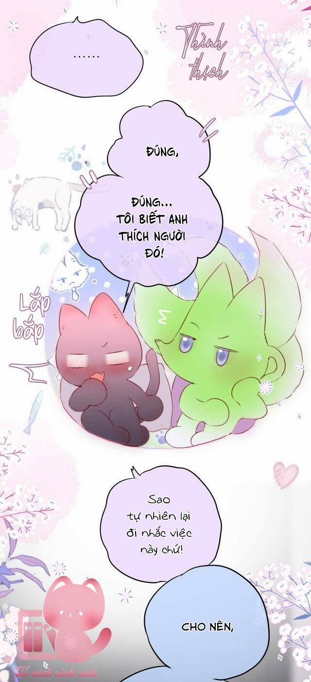 Cạm Bẫy Của Hồ Ly 58 trang 20