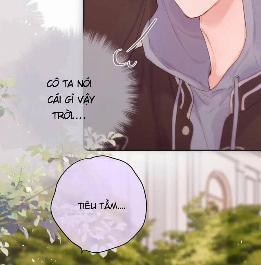 Cạm Bẫy Của Hồ Ly 61 trang 13