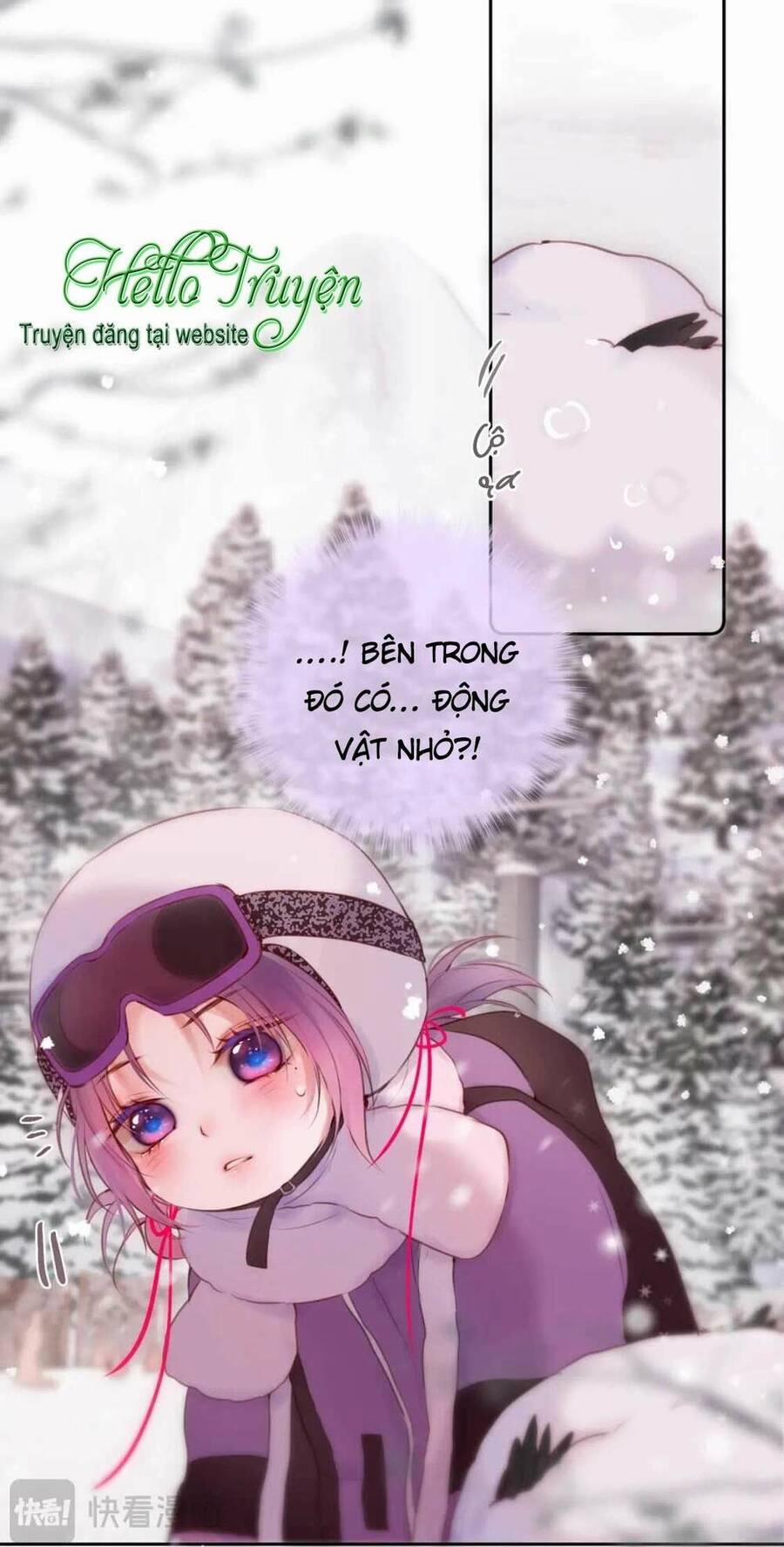 Cạm Bẫy Của Hồ Ly 62 trang 12