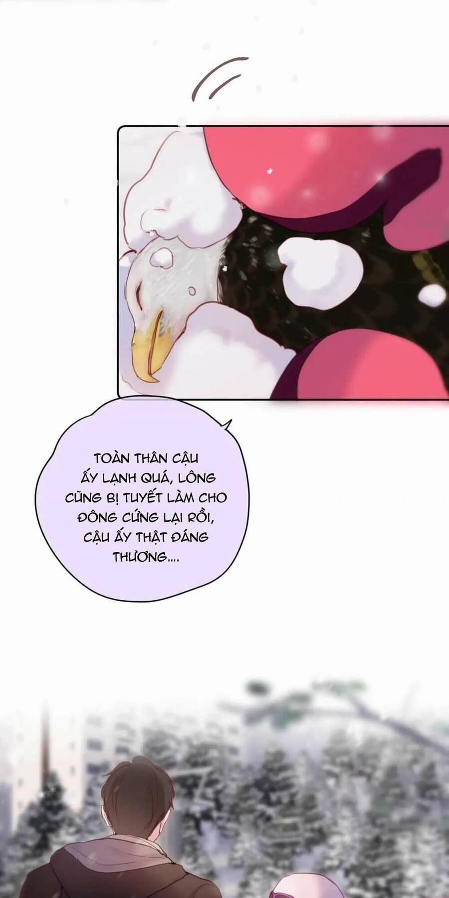 Cạm Bẫy Của Hồ Ly 62 trang 21