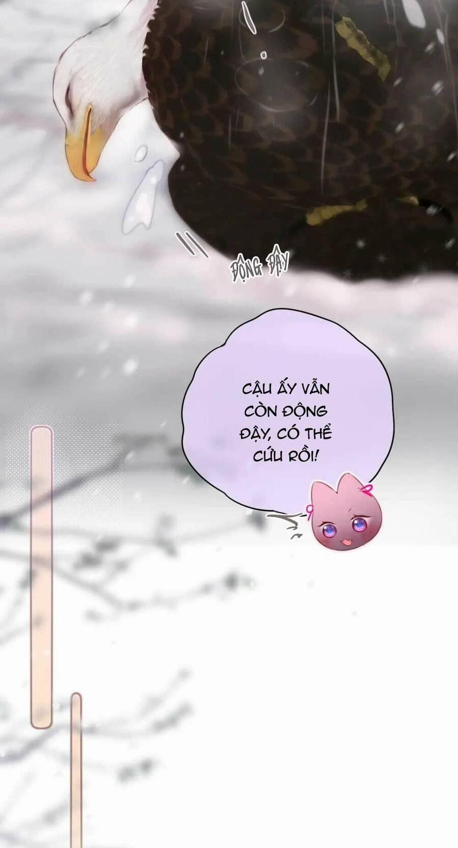 Cạm Bẫy Của Hồ Ly 62 trang 23