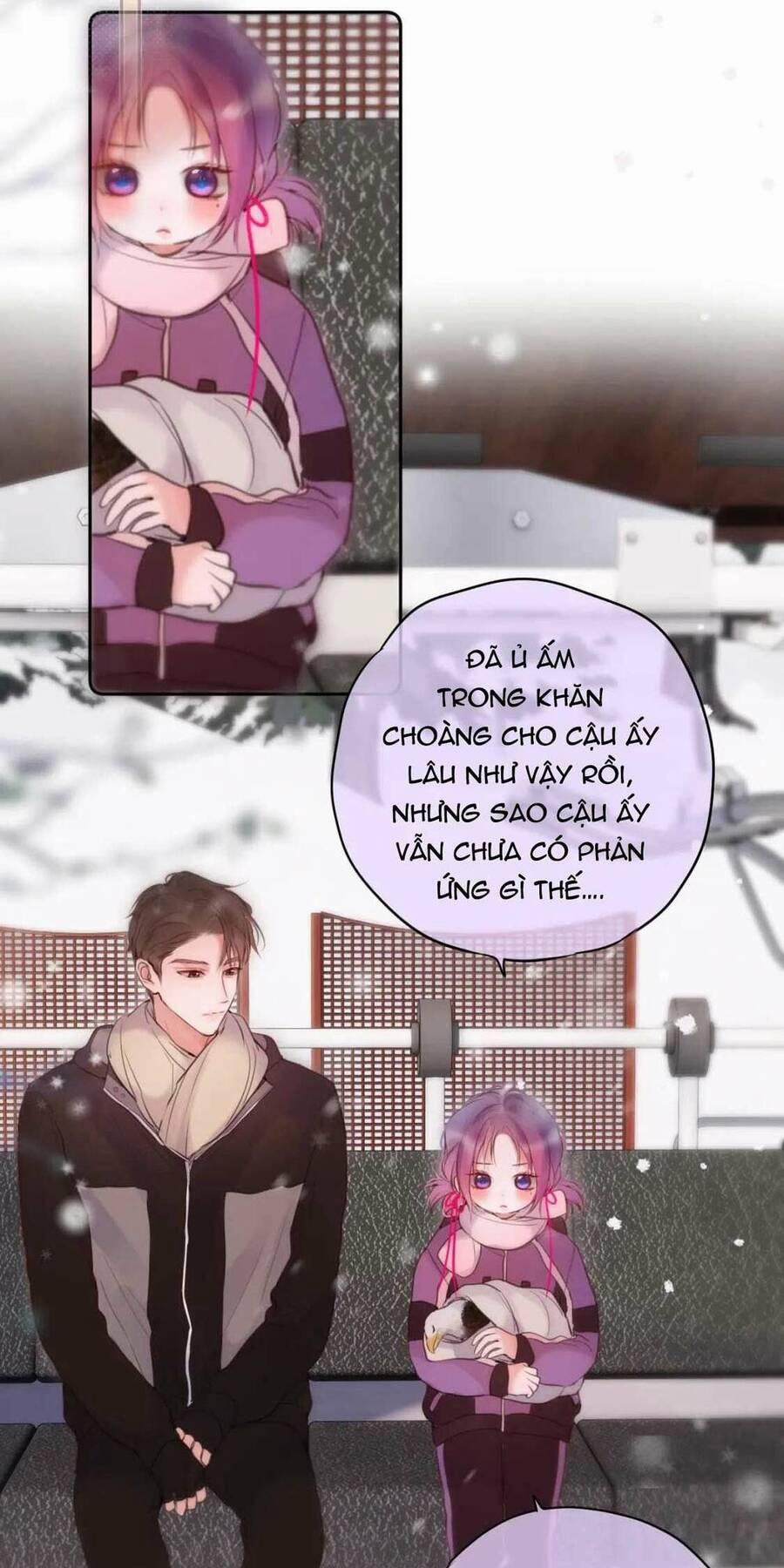 Cạm Bẫy Của Hồ Ly 62 trang 24