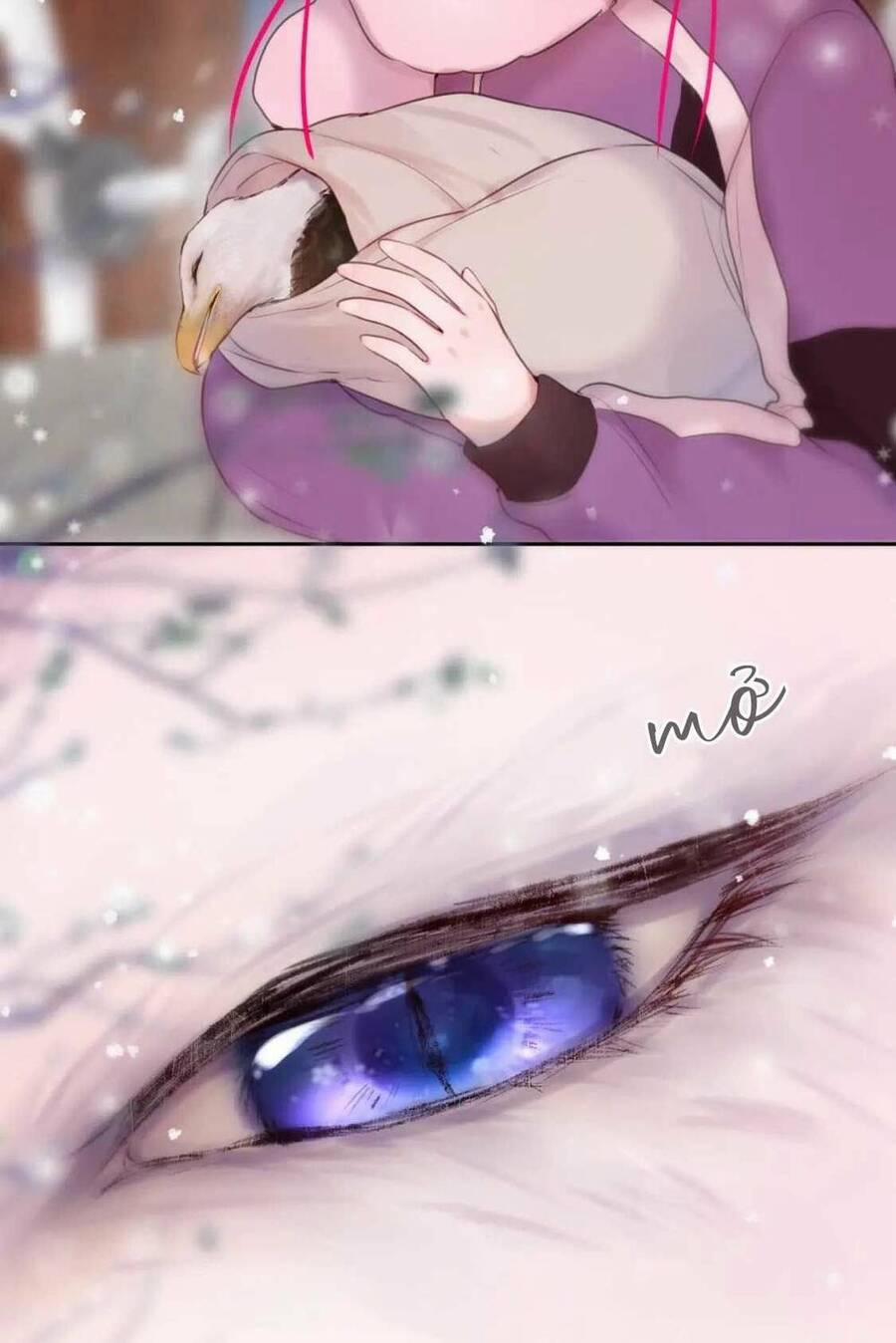 Cạm Bẫy Của Hồ Ly 62 trang 26