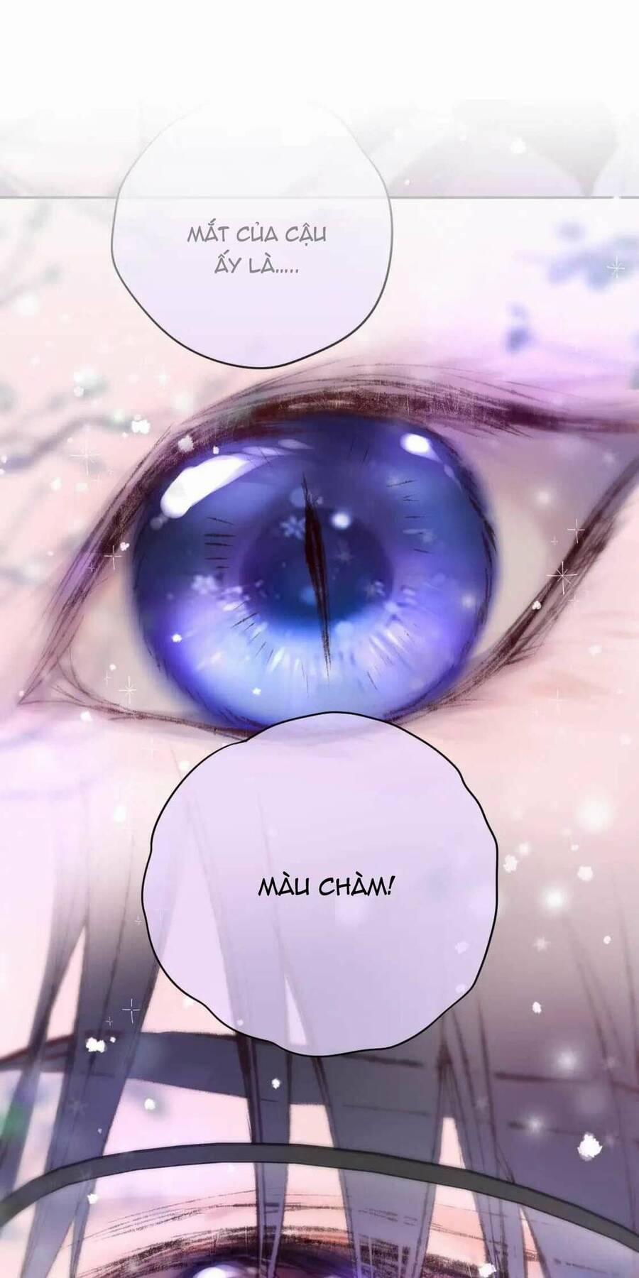 Cạm Bẫy Của Hồ Ly 63 trang 2