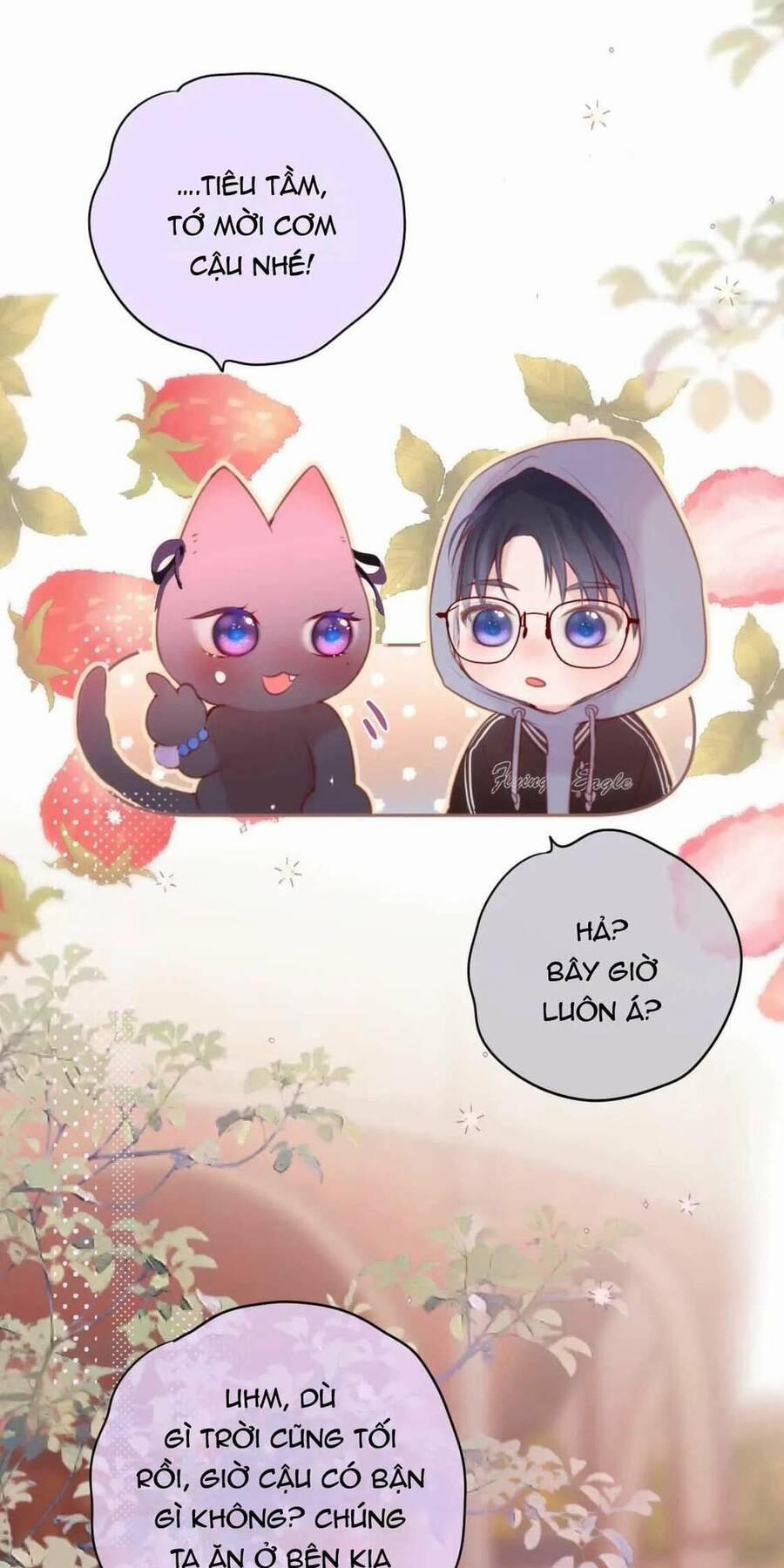 Cạm Bẫy Của Hồ Ly 64 trang 11