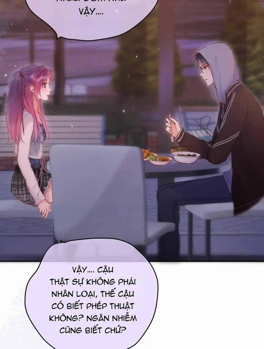 Cạm Bẫy Của Hồ Ly 64 trang 14