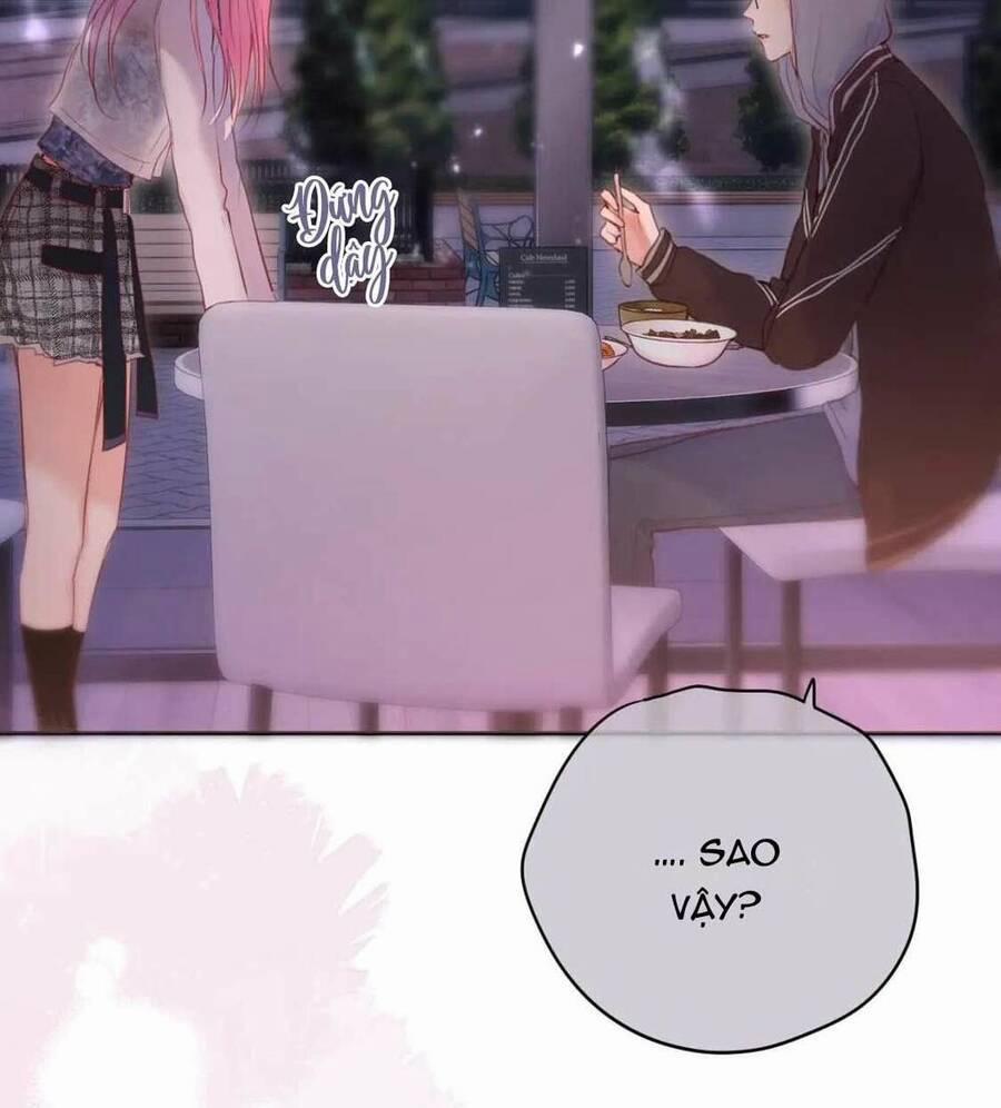Cạm Bẫy Của Hồ Ly 64 trang 28