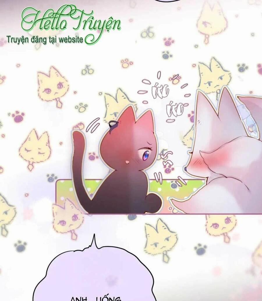 Cạm Bẫy Của Hồ Ly 65 trang 24