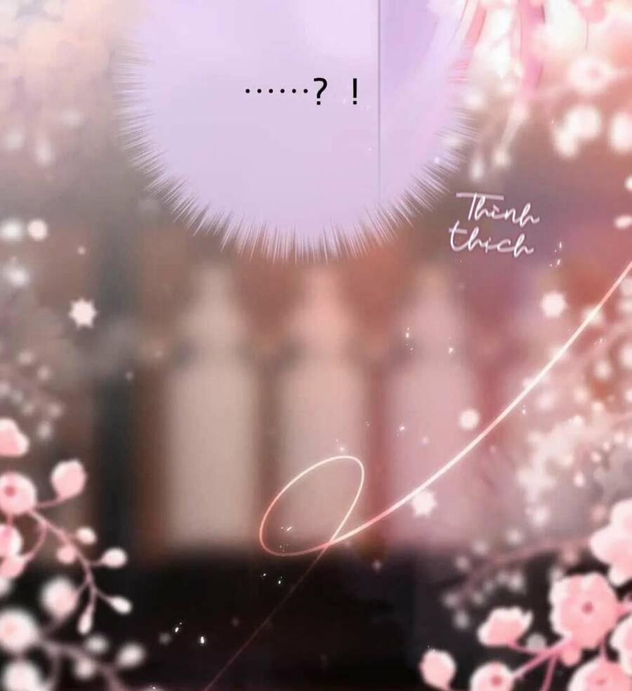 Cạm Bẫy Của Hồ Ly 65 trang 39