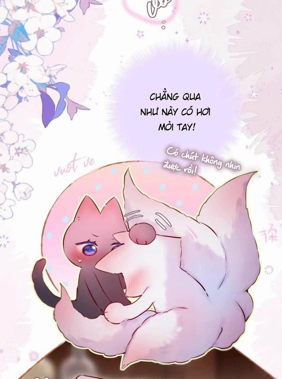 Cạm Bẫy Của Hồ Ly 66 trang 27