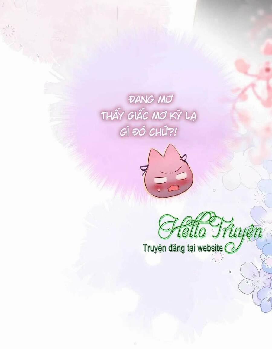 Cạm Bẫy Của Hồ Ly 66 trang 33