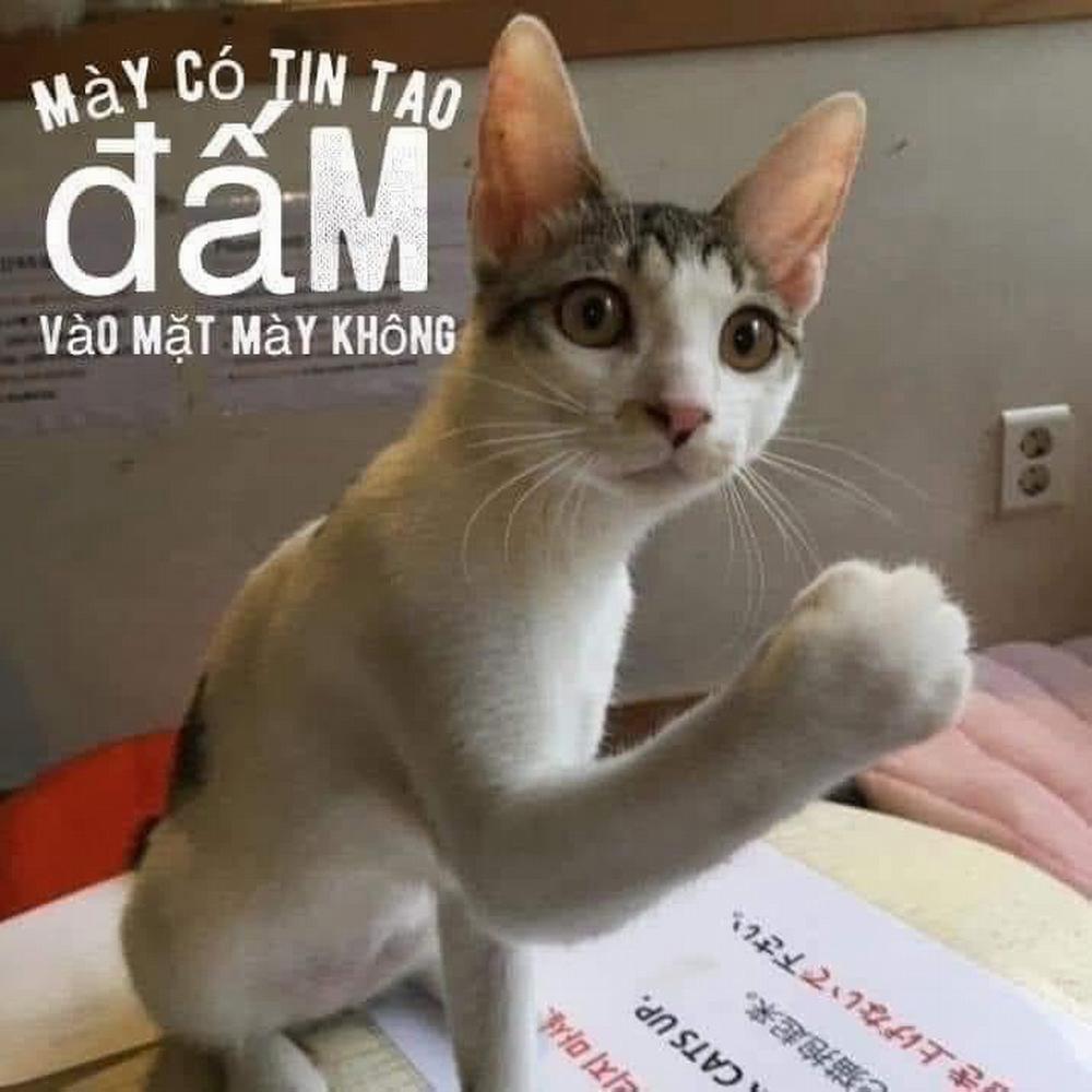 Cạm Bẫy Của Kẻ Biến Thái 2 trang 0