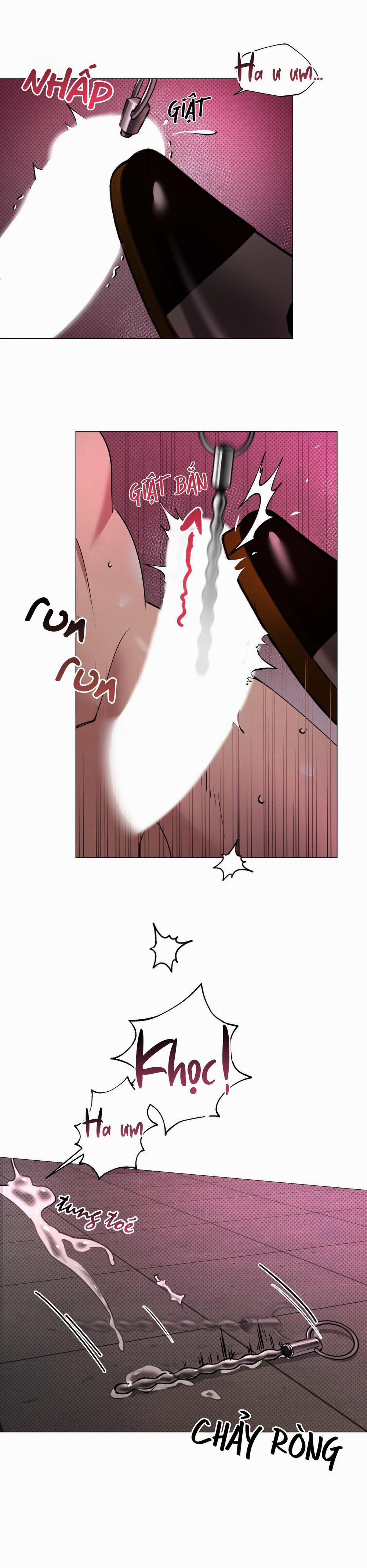 Cạm Bẫy Của Sự Tái Ngộ 1 trang 11