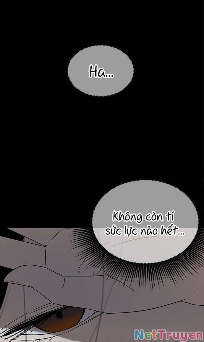 Cạm Bẫy 41 trang 69