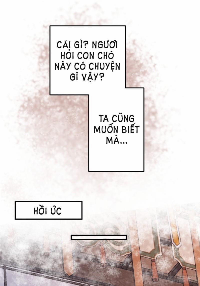 Cẩm Trận Hoa Doanh 5 trang 44