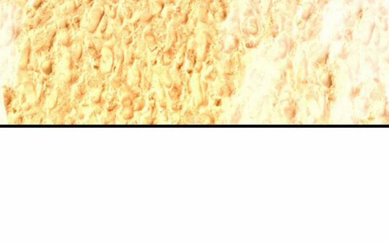 Cao Năng Lai Tập 346 trang 24