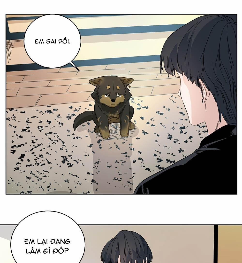 Cao Trường Và Đại Hoàng 43 trang 20