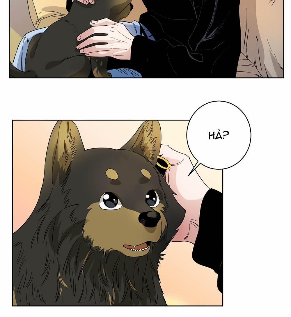 Cao Trường Và Đại Hoàng 43 trang 24