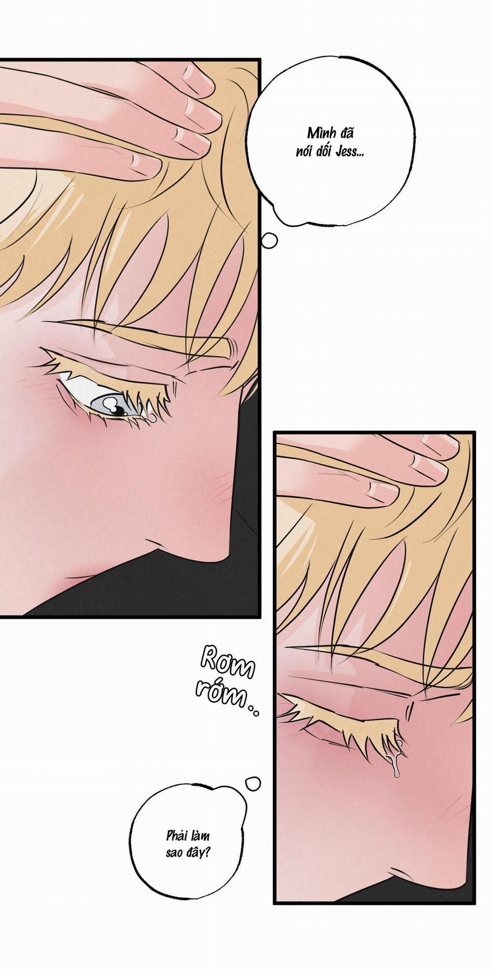 Cặp Bài Trùng 13 trang 52