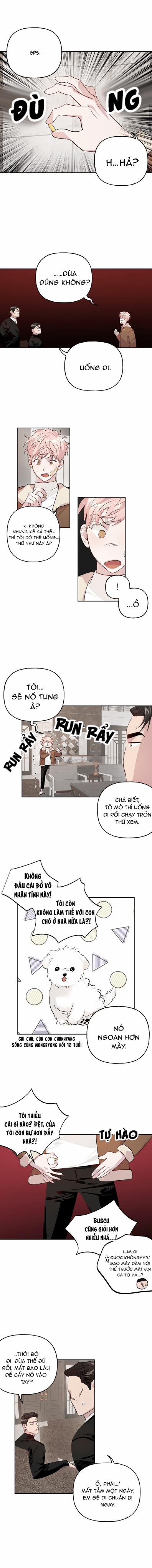 Cặp Đôi Điên Rồ 10 trang 3