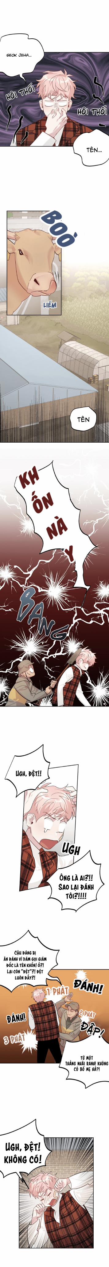 Cặp Đôi Điên Rồ 10 trang 7