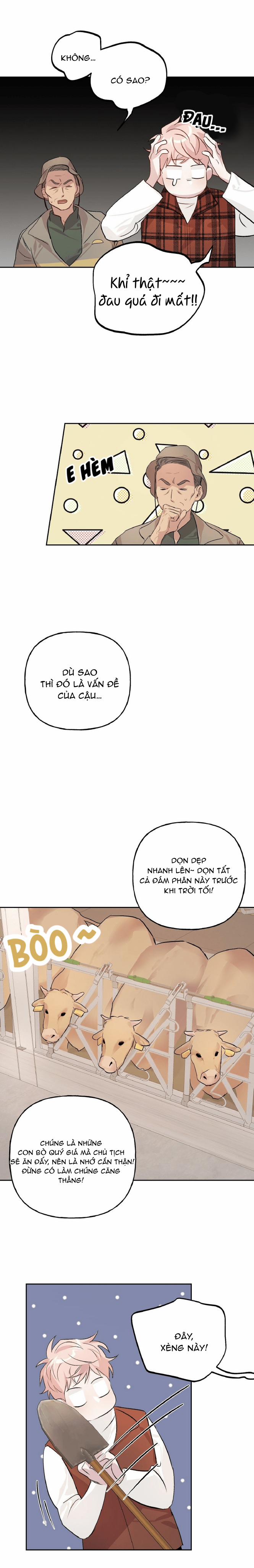 Cặp Đôi Điên Rồ 10 trang 8