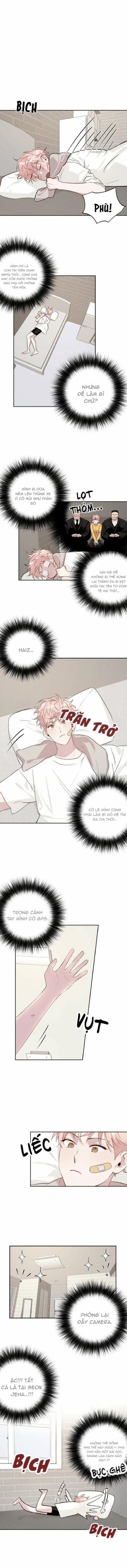 Cặp Đôi Điên Rồ 12 trang 1