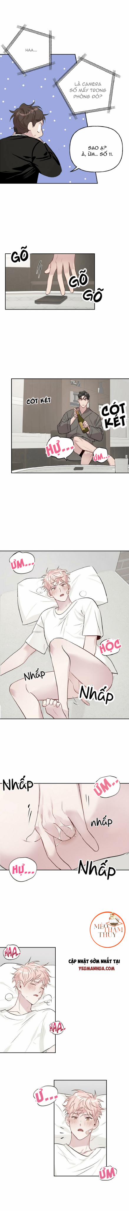 Cặp Đôi Điên Rồ 12 trang 4