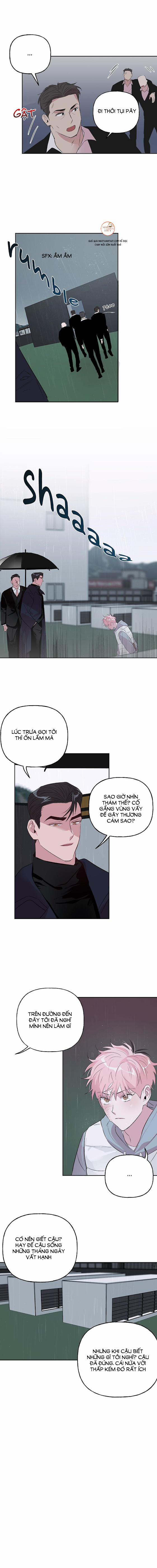 Cặp Đôi Điên Rồ 23 trang 17