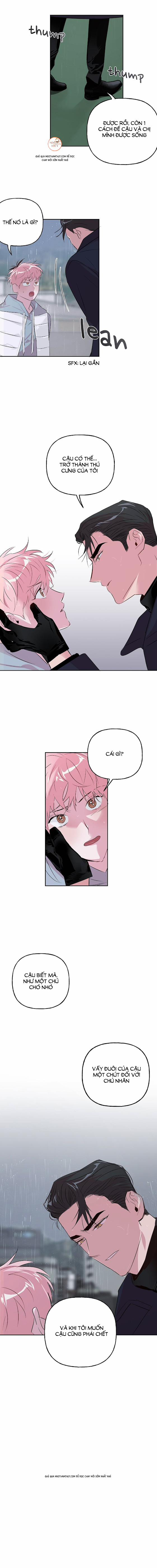 Cặp Đôi Điên Rồ 23 trang 19