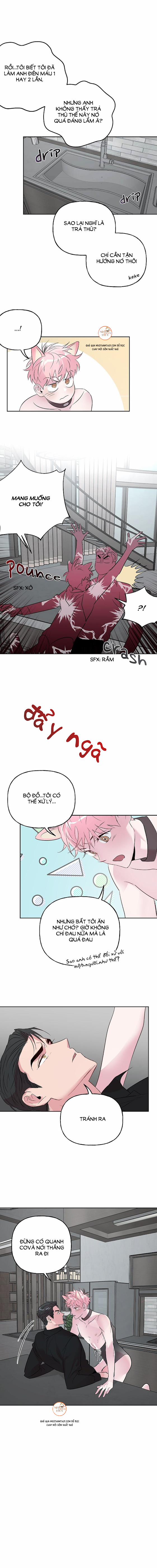 Cặp Đôi Điên Rồ 24 trang 11