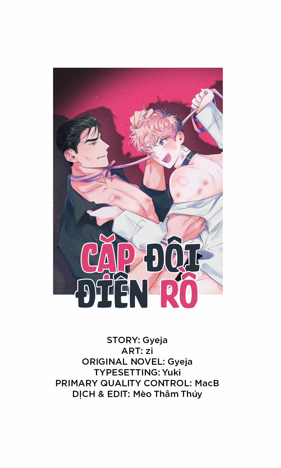 Cặp Đôi Điên Rồ 24 trang 2