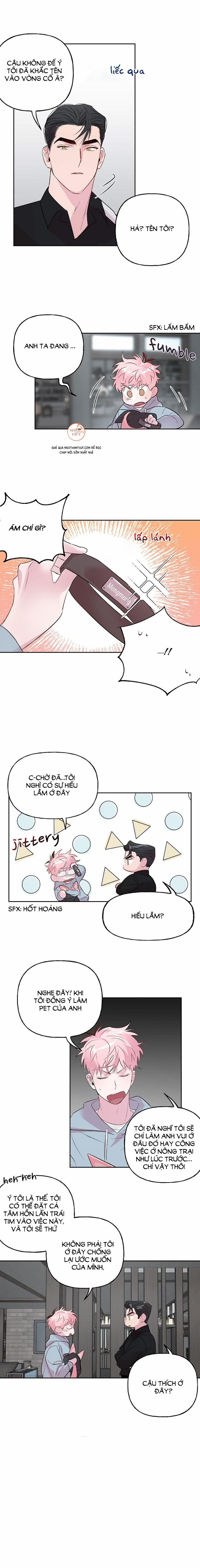 Cặp Đôi Điên Rồ 24 trang 4