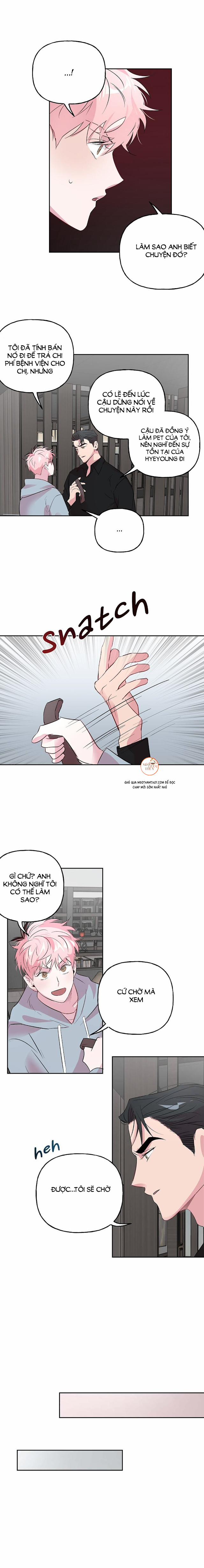 Cặp Đôi Điên Rồ 24 trang 6