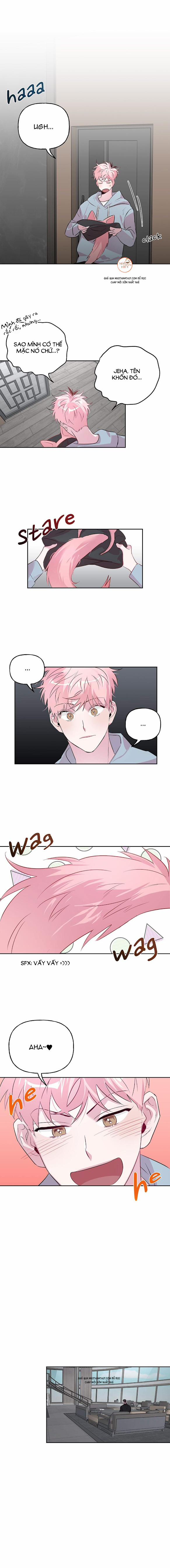 Cặp Đôi Điên Rồ 24 trang 7