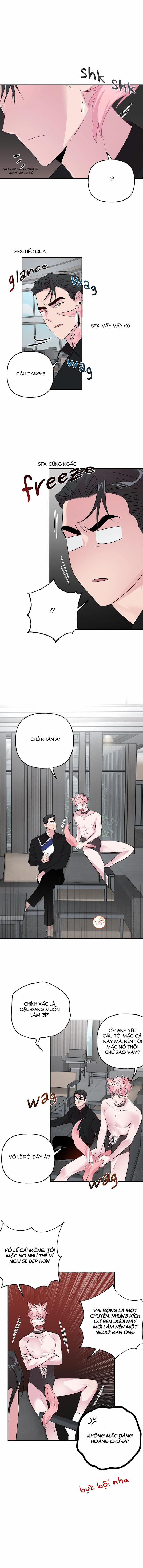 Cặp Đôi Điên Rồ 24 trang 8