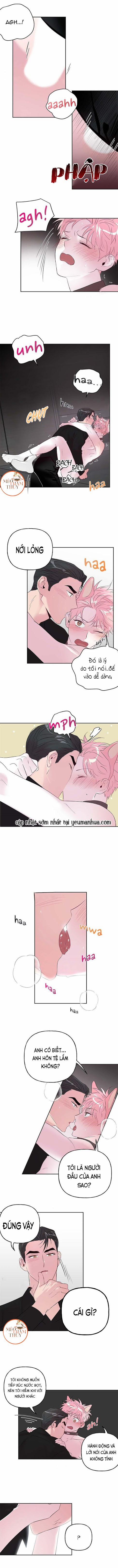 Cặp Đôi Điên Rồ 25 trang 2