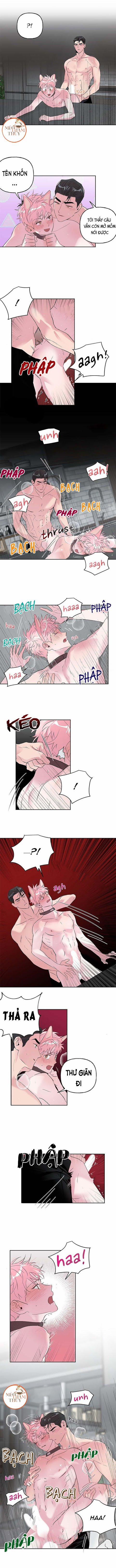 Cặp Đôi Điên Rồ 25 trang 4