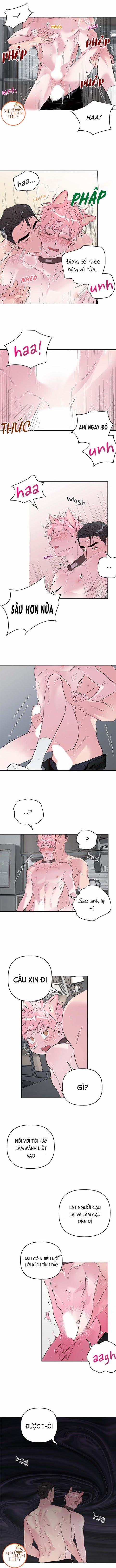 Cặp Đôi Điên Rồ 25 trang 5