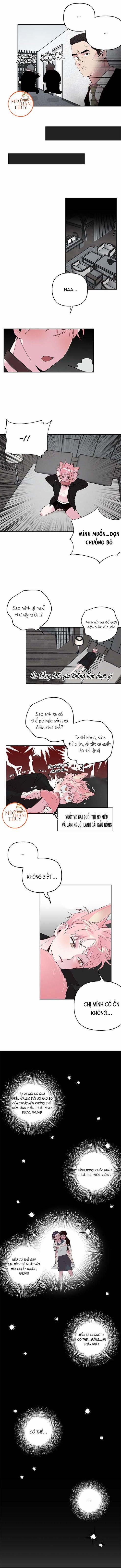 Cặp Đôi Điên Rồ 26 trang 2