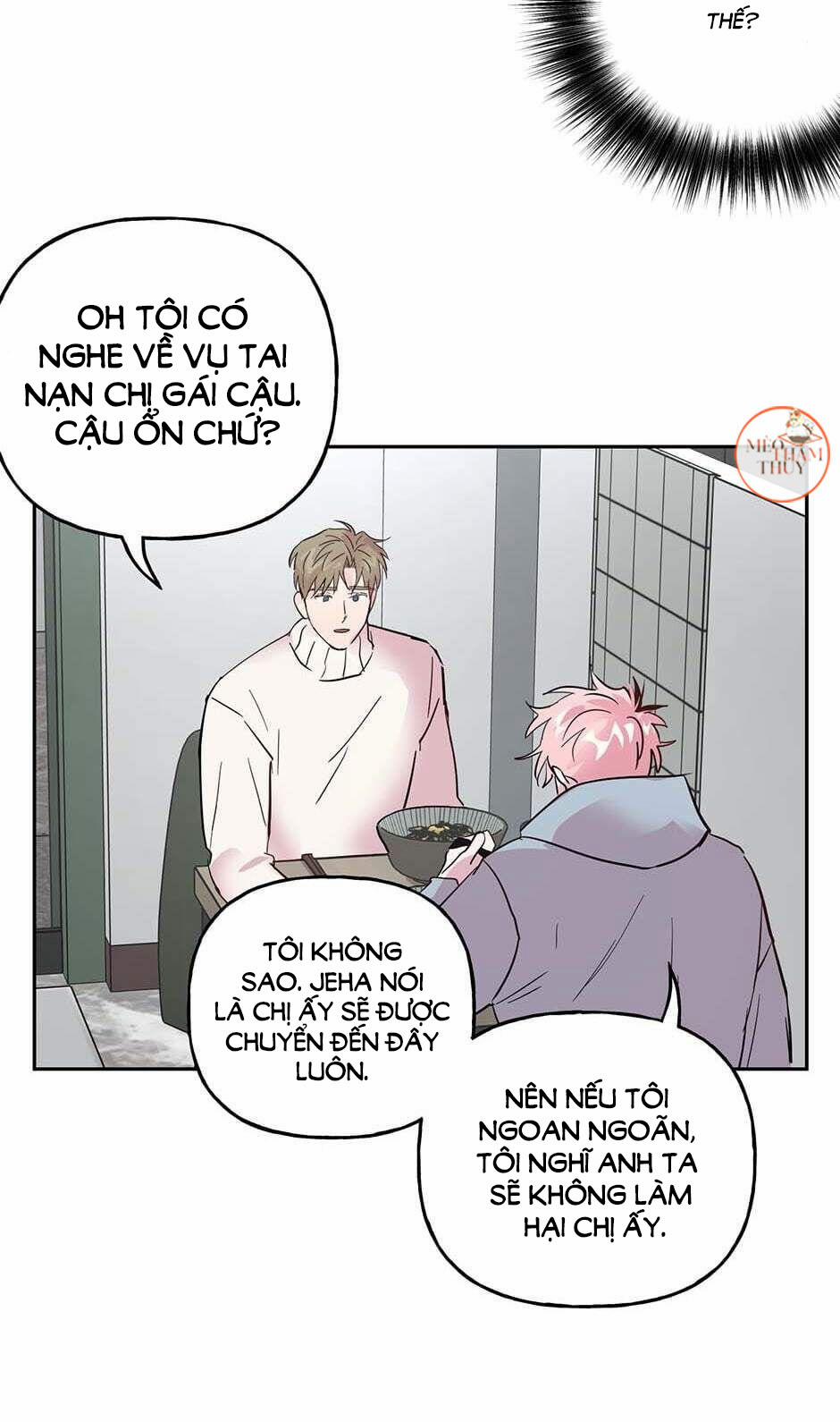 Cặp Đôi Điên Rồ 28 trang 11