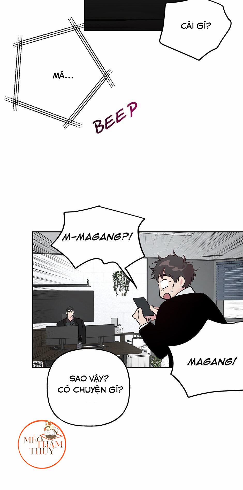 Cặp Đôi Điên Rồ 31 trang 37