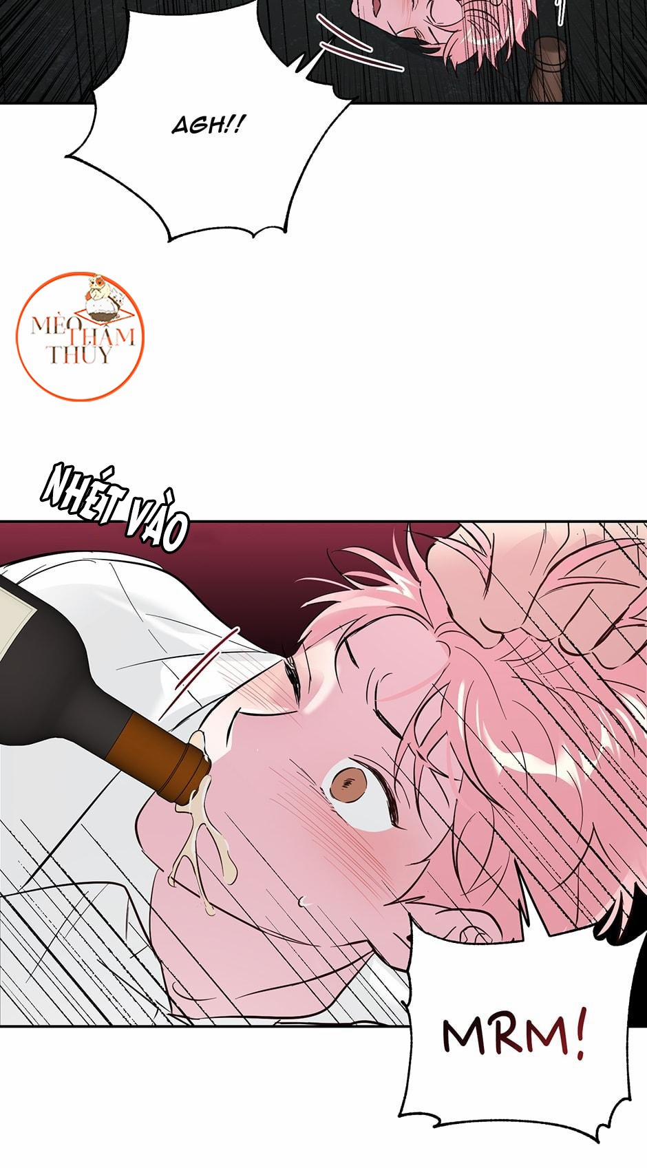 Cặp Đôi Điên Rồ 32 trang 14